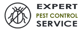Pro Exterminator Company  Miami FL